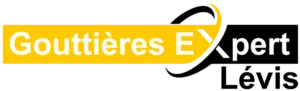 Logo Gouttière Expert Levis