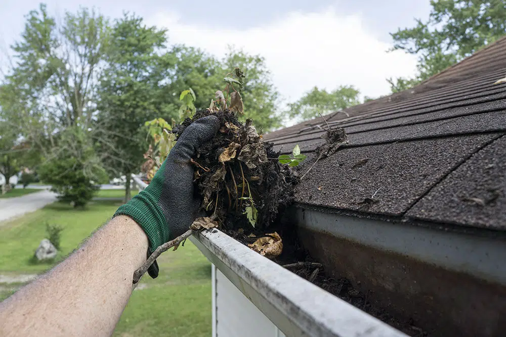 Nettoyage efficace des gouttières à Lévis sur la Rive-Sud de Québec